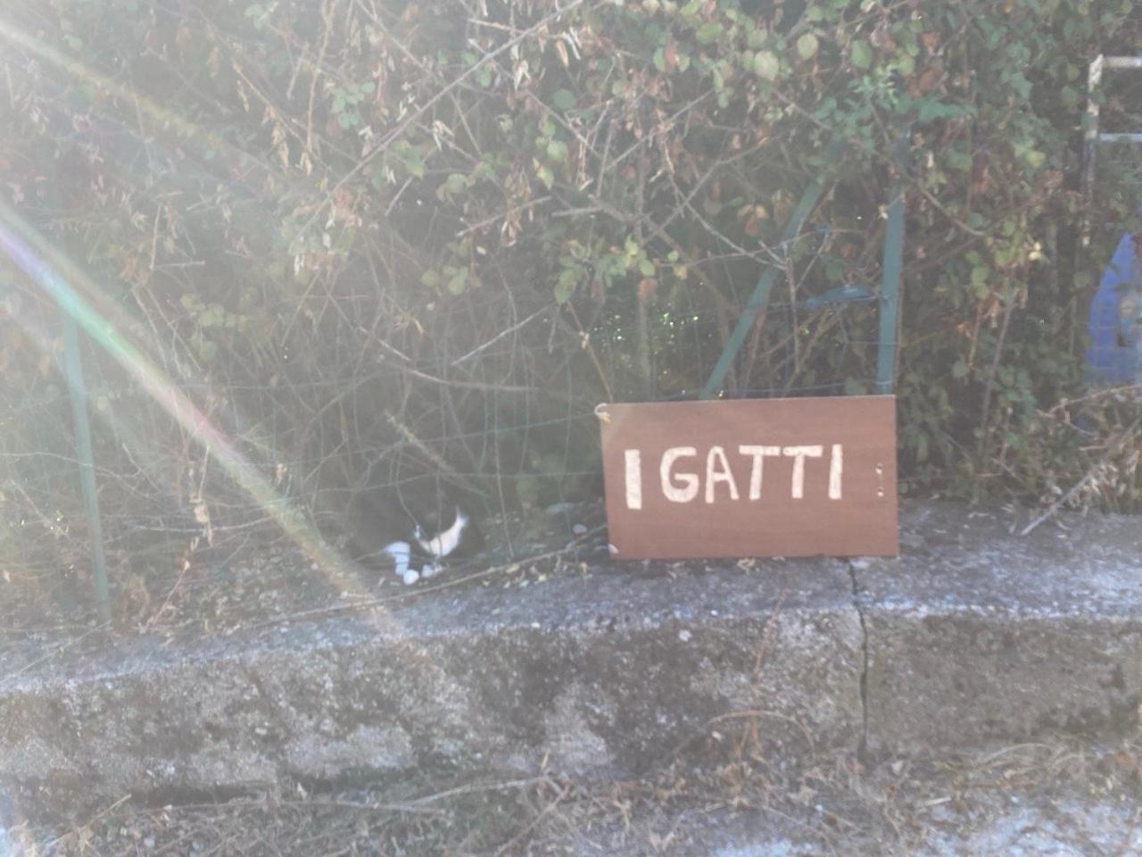 I Gatti Bed & Breakfast *